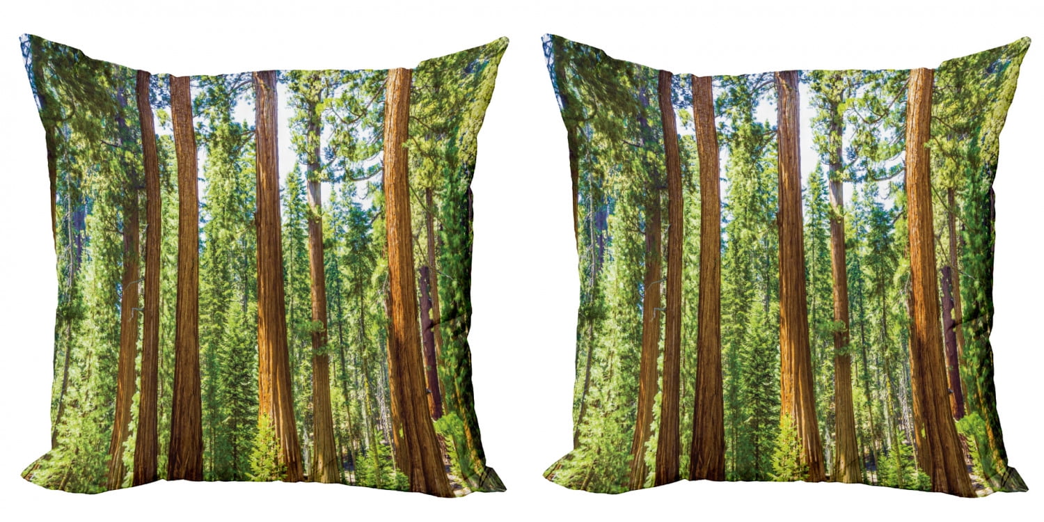 National Parks Throw Pillow Cushion Cover Pack Of 2 View Of Tree Branches In Scenic Springtime Conifers Sequoia Art Prints Zippered Double Side Digital Print 4 Sizes Green Brown By Ambesonne Walmart Com