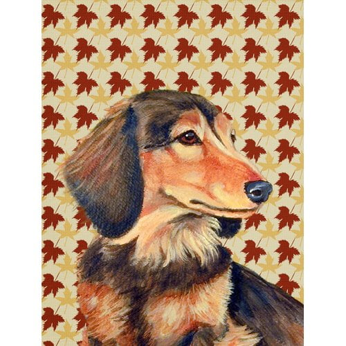 Caroline's Treasures Fall Leaves 2-Sided Garden Flag