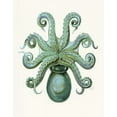 thumbnail image 2 of Fab Funky 15x18 White Modern Wood Framed Museum Art Print Titled - Turquoise Octopus and Squid c, 2 of 4