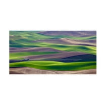 Danny Gao 'Driving In The Wheat Field At Palouse' Canvas Art