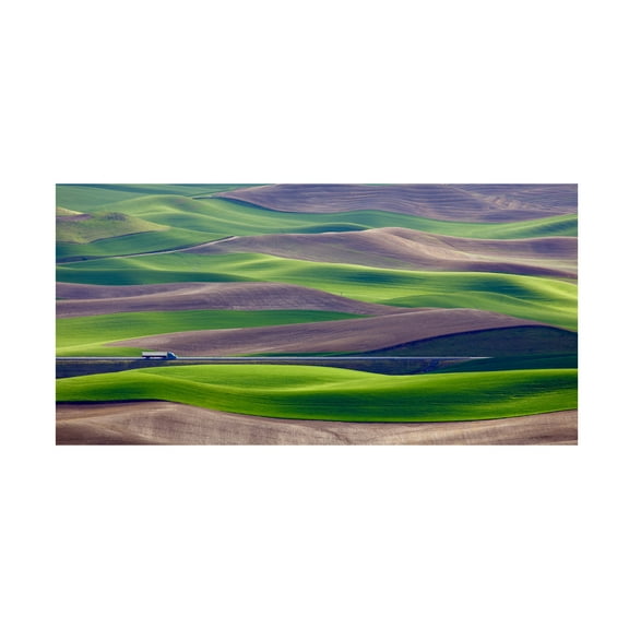 Danny Gao 'Driving In The Wheat Field At Palouse' Canvas Art