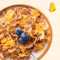thumbnail image 4 of Cascadian Farm Honey Oat Crunch Cereal, 4 of 5