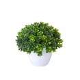 thumbnail image 1 of zhangmingg Bonsai Tree Miniature Potted for Home Desk, 1 of 4