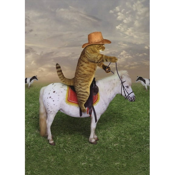 Designer Greetings Cowboy Cat Riding Small White Pony Funny / Humorous Birthday Card