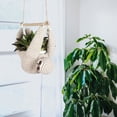 thumbnail image 5 of Sloth Gift Sloth Hook Suitable For Succulent Pots Hanging Flower Pots Suitable For Couples Home Decoration Flower Pot (1 Sloth Bear Small Flower Pot+Wooden Stick+Rope), 5 of 7