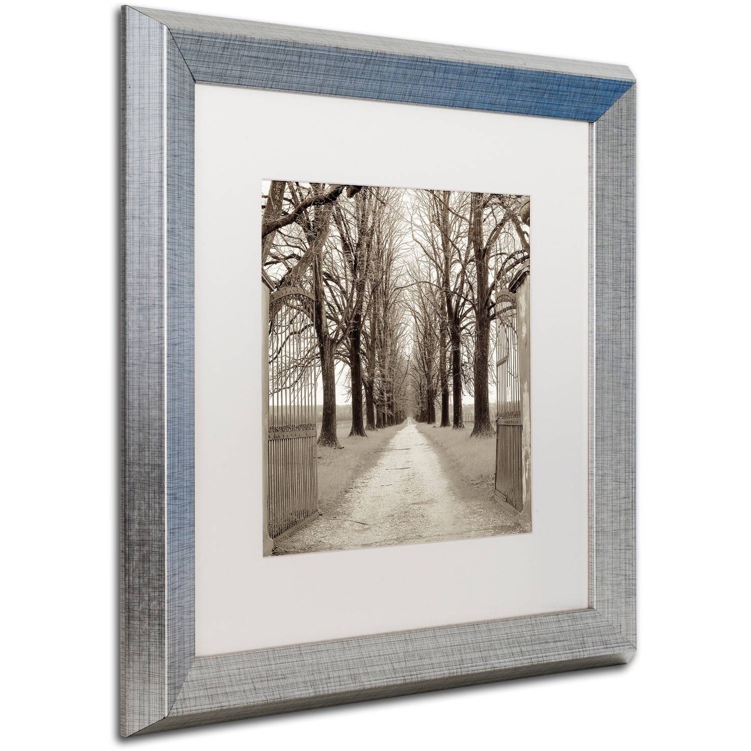 Trademark Fine Art "Veneto Giardini I" Canvas Art by Alan Blaustein, White Matte, Silver Frame