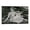 Frame-style, variant on Constance Binney American Stage,Film Actress Print Poster (1) Canvas Wall Art Prints Poster Gifts Photo Picture Painting Posters Room Decor Home Decorative 16x24inch(40x60cm)