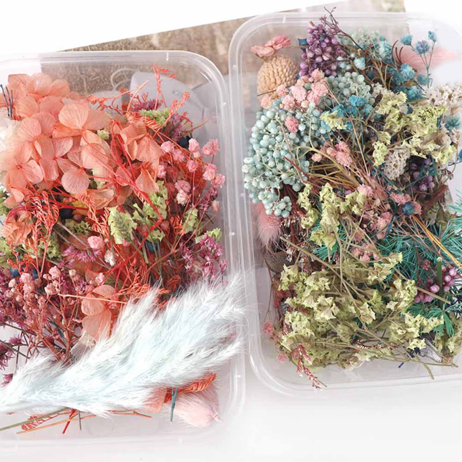 5 Box Dried Flowers,Mixed Colors Dried Flowers,Small Dry Flower for DIY Arts and Crafts Candles,Soap Making,Resin Jewelry Nail Pendant,Greeting Cards,Scrapbooking,Wedding Decor,Random Color 5PCS