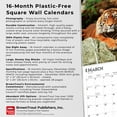 thumbnail image 6 of Tigers | 2026 12x24" (Hanging) Square Wall Calendar | Plastic-Free | BrownTrout, 6 of 9
