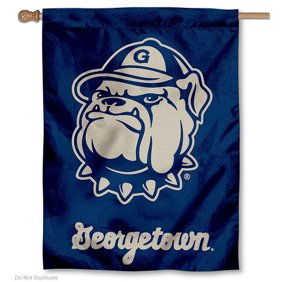 Gsu Panthers 30 X 40 House Flag And Banner Walmart Com