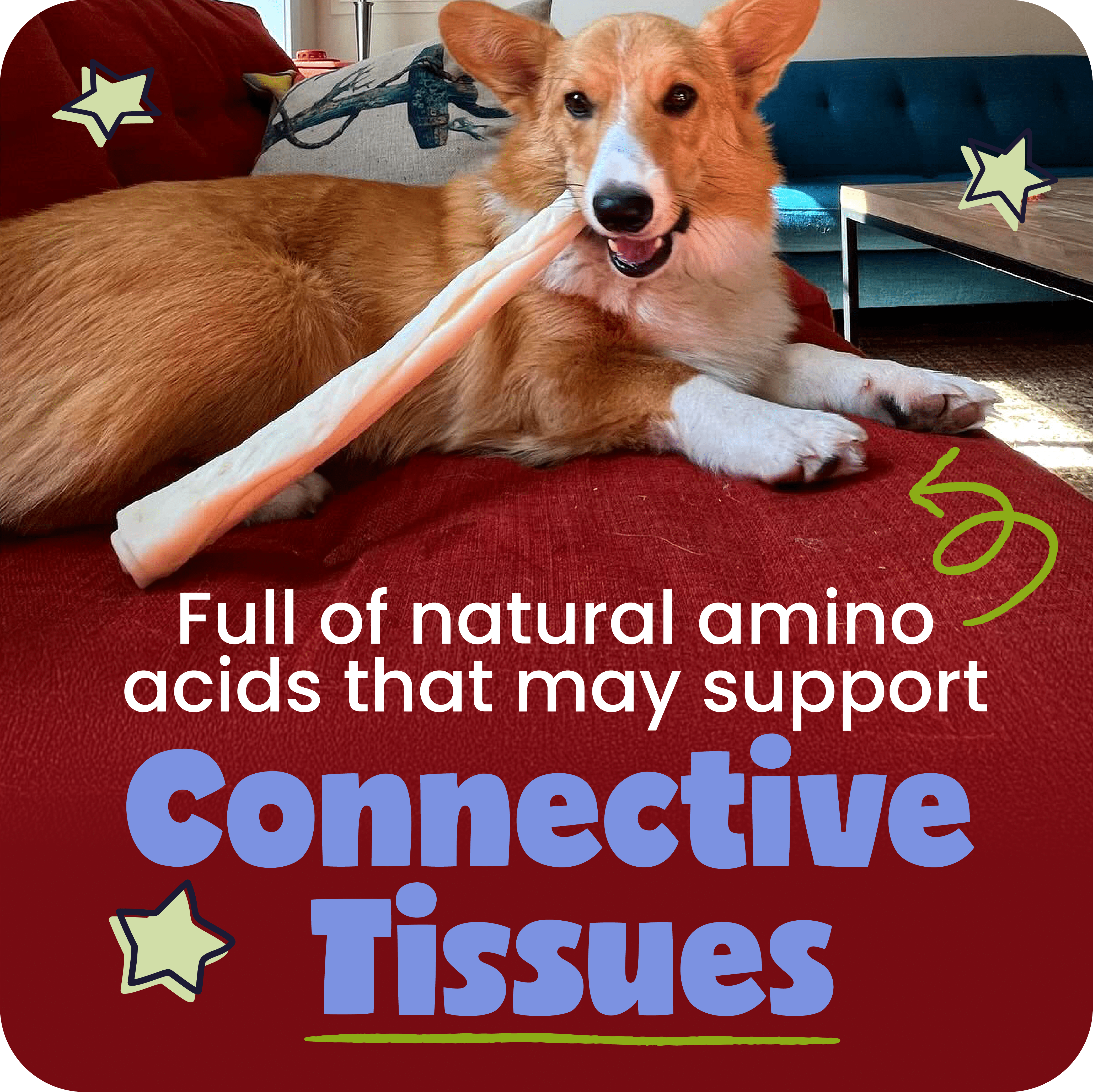 Pawstruck Natural Large 12" Beef Collagen Chew Sticks - 5 Count