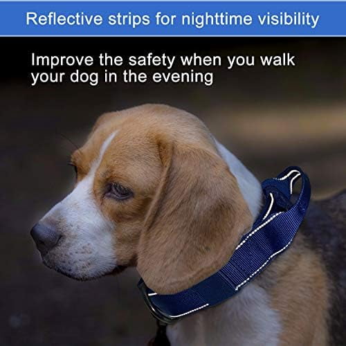 Reflective Dog Collar Heavy Duty Tactical with Control Handle and Metal Buckle for Dog Training(M,Blue)
