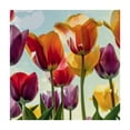 thumbnail image 4 of WYYP Tulips Square Tablecloth Waterproof 100% Polyester Fiber 40*40, 4 of 8