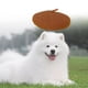 thumbnail image 4 of Gorro de Lana para Perros Y Gatos de 3 Piezas Elástico Ajustable Duradero, 4 of 9