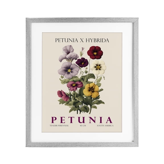 Stupell Industries Scandinavian Natural Petunia Bundle Gray Framed Print Under Glass, 17 x 21, by Christopher Giampietro