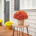 thumbnail image 4 of Better Homes & Gardens 1.5Gal Orange Garden Chrysanthemum Plant Decorative Pot Sun, 4 of 14