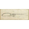 thumbnail image 2 of Harper, Ethan 14x8 Black Ornate Wood Framed with Double Matting Museum Art Print Titled - Whale Study I, 2 of 4