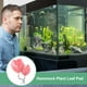 thumbnail image 5 of Uxcell 1-Pack Pad de Hoja de Pez Betta, Pad de Hoja de Planta de Hamaca, Cama de Descanso para Peces para Decoraciones de Tanque de Peces [Rosa, en Forma de Corazón], 5 of 7