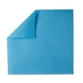 thumbnail image 4 of McKesson CSR Sterilization Wrap for Medical Supplies, Nail Technicians, Tattoo Tools - Air and Water Barrier, Blue Cellulose, 20 in x 20 in, 100 Count, 1 Pack, 4 of 5