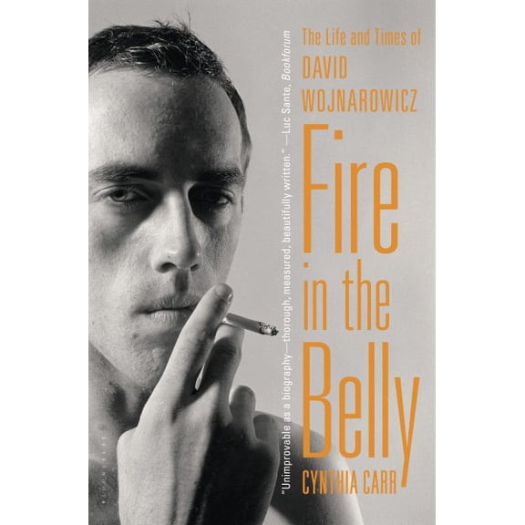 Fire in the Belly : The Life and Times of David Wojnarowicz (Paperback)