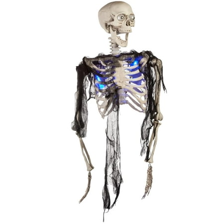 Half Body Skeleton w/Blue Light up Torso Halloween Decoration