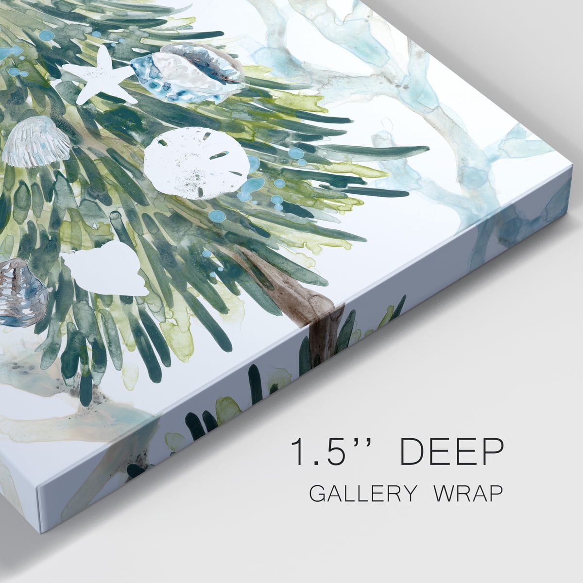 Coastal Christmas Shell Collection B- Gallery Wrapped Canvas