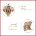 thumbnail image 4 of Cat Skeleton Resin Animal Fortune Cat Skull Model Figurine Aquarium Fish Tank Landscape Decoration, 4 of 5
