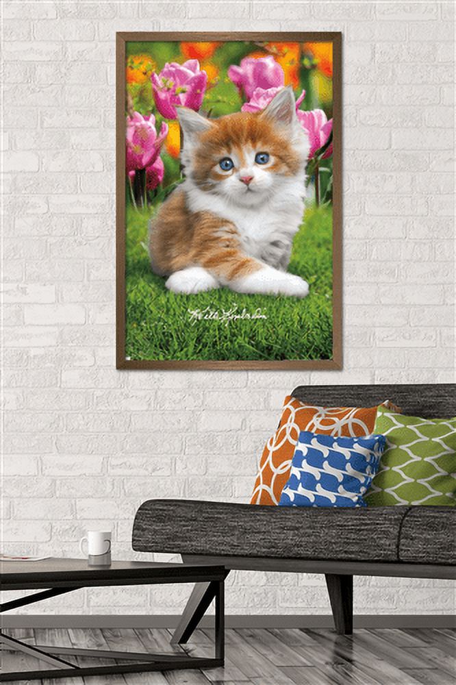 Keith Kimberlin - Maine Coon Kitten Wall Poster, 22.375" x 34", Framed