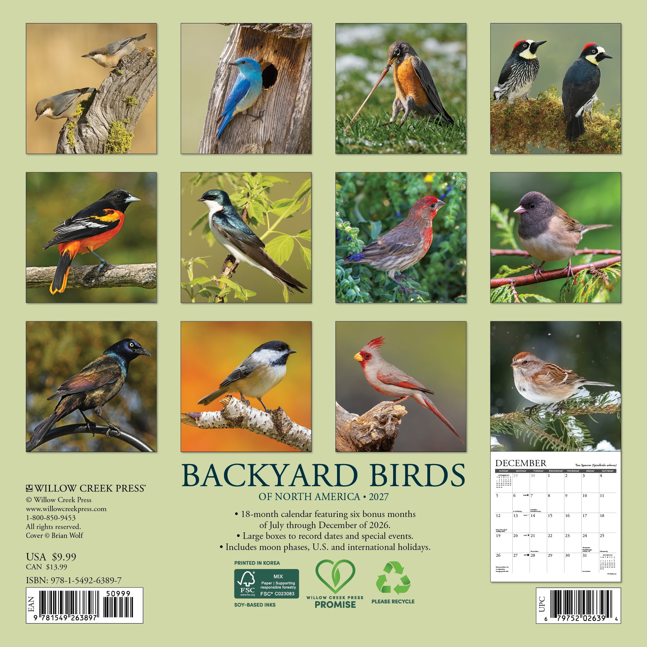Willow Creek Press, Backyard Birds 2027 Mini Wall Calendar
