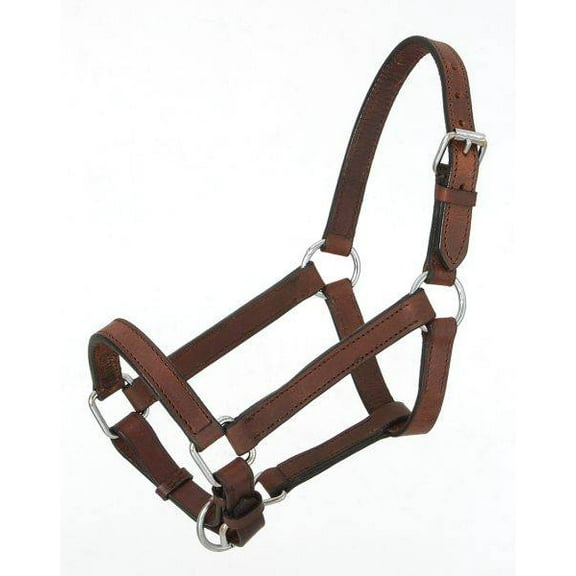 Royal King Miniature Leather Halter Medium