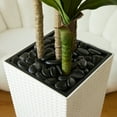 thumbnail image 4 of DR.Planzen Artificial Dracaena Tree 5ft - UV Protected Faux Dracaena Plant with 57 Green Leaves, Fake Tree for Indoor & Outdoor Use, Sturdy Tall White Planter with River Stones, 4 of 10