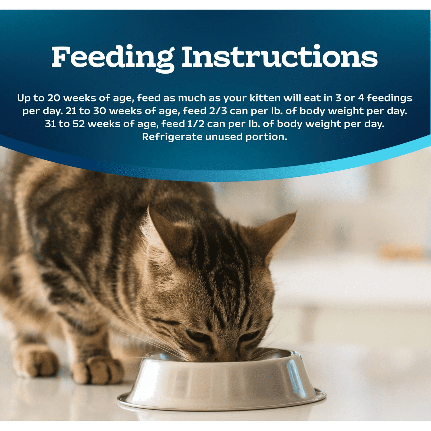 Blue Buffalo Tastefuls Kitten Wet Food Paté Multi-Pack, 6x85g