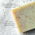 thumbnail image 2 of Plantlife Peppermint 6-Pack Bar Soap - Moisturizing and Soothing Soap for Your Skin - Hand Crafted Using Plant-Based Ingredients - Made in California 4oz Bar, 2 of 9