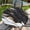 Black Gold Marble, variant on Round Fitted Tablecloth with Elastic Edge, 36"-60" Waterproof Stain Resistant Table Cover for Indoor, Outdoor, Picnic, Dining, Camping, Party, Holiday, 44inch, Boho Vintage