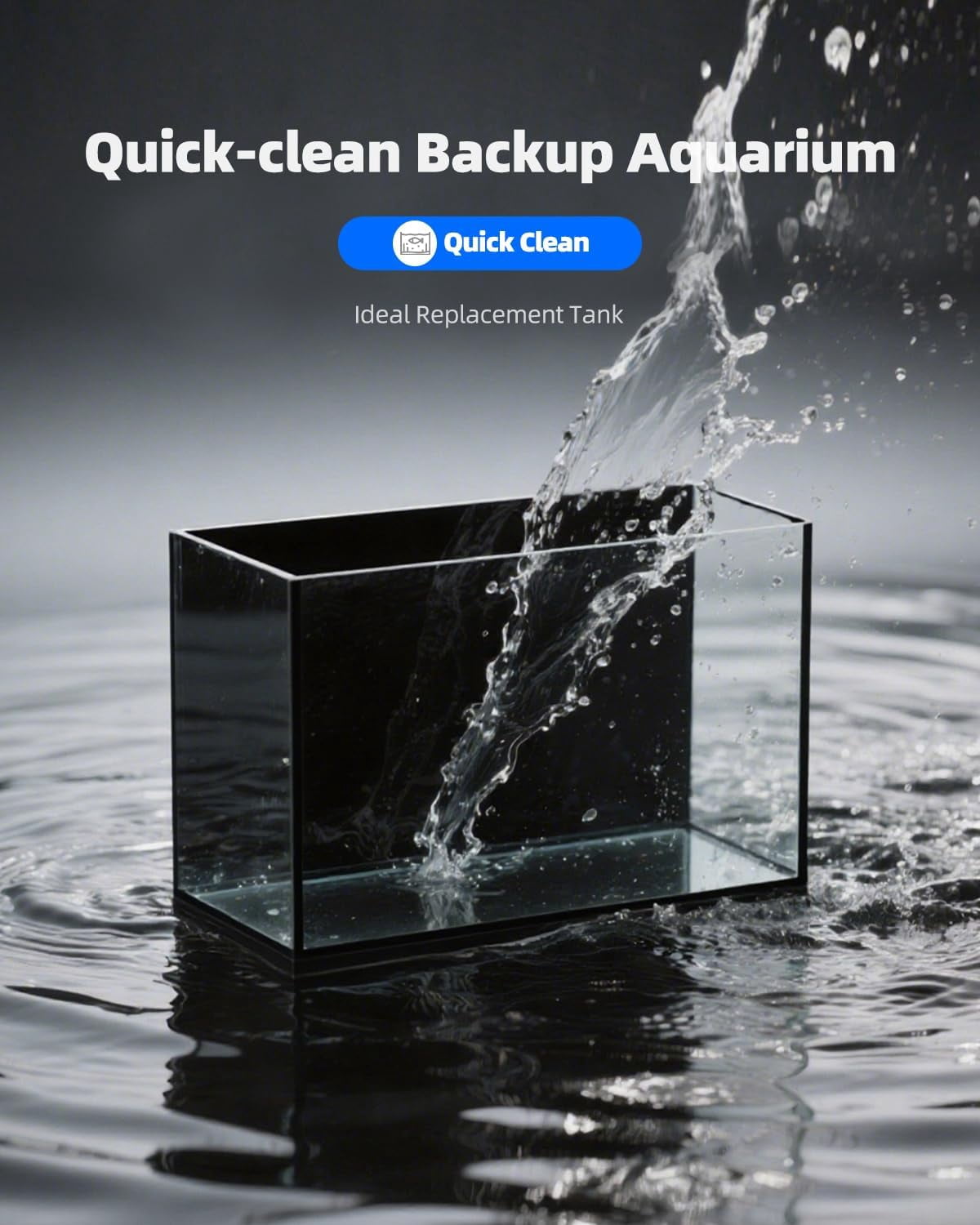2.5 Gallon Clear Glass Aquarium for Betta Fish, Goldfish, Snails, Shrimp and Live Aquatic Plants