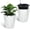 White, variant on ChaoLink 16 Inch Tall Planters Set of 2, Large Flower Pot Outdoor and Indoor, with 2 Trays and a Water Level Monitor and Wheels for Patio, Porch, Living Room, Home Officeblack
