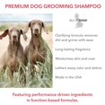 thumbnail image 2 of Sulfate-Free Deep Cleaning Shampoo - 16 Ounce Bottle for Gentle Hair Care, 2 of 4