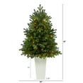 thumbnail image 2 of Nearly Natural 3.5' Fir Artificial Christmas Tree with 50 Clear Lights, 2 of 6