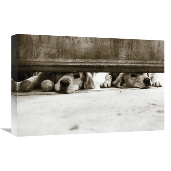 Global Gallery's 'We See You v2' By Jim Dratfield Stretched Canvas Wall Art