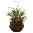 thumbnail image 2 of Succulent Garden w/Decorative Planter, 2 of 2