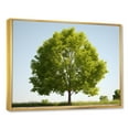 thumbnail image 2 of Designart "Elegant American Basswood" Tree Amercian Basswood Floater Framed Canvas Wall Art, 2 of 5