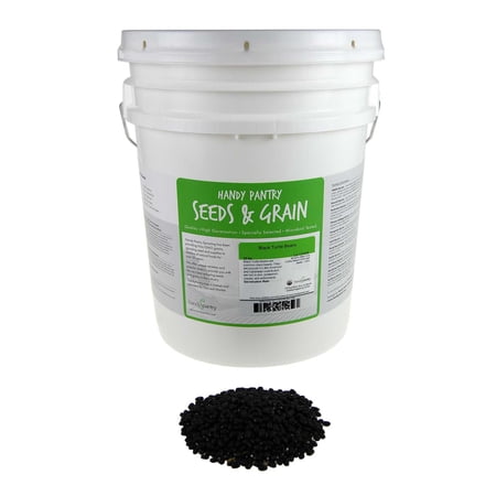 Organic Black Turtle Beans -35 Lb- Called Black Bean & Spanish Black Bean - Seed Sprouting Sprouts, Cooking, Food Storage