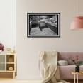 thumbnail image 3 of Historic Framed Print, Prairie Creek Fish Hatchery, Hwy. 101, Orick, Humboldt County, CA - 32, 17-7/8" x 21-7/8", 3 of 9