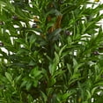 thumbnail image 3 of Nearly Natural Green 4.5' Olive Cone Topiary Artificial Tree UV Resistant, 3 of 3