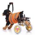 thumbnail image 2 of Silla de ruedas para mascotas para perros discapacitados, perro viejo, andador para gatos, coche, ajustable, ligera, patas traseras, rehabilitación, silla de ruedas para perros esquí esquí Gafas de esquí, 2 of 5