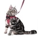 thumbnail image 5 of Arnés para gatitos y gatos a prueba de fugas con juego de correa, arnés para perros pequeños, chaleco ajustable para mascotas, 5 of 5