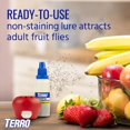 thumbnail image 3 of Trampas para Moscas de la Fruta Terro Paquete de 12 con Cebo de 540 Días, 3 of 9