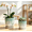 Green ,White, variant on Mdj Pottery 2-Pack Green & White Ceramic Planters for Orchids, 5.51 to 7.48 inch with Drainage Holes and Saucers, Indoor & Outdoor Plant Containers