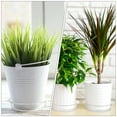 thumbnail image 3 of 25pcs Simple FlowerPot Bandeja Home Plástico Flor Pot Base Planter Bandeja de agua, 3 of 6