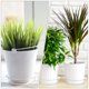 thumbnail image 3 of 25pcs Simple FlowerPot Bandeja Home Plástico Flor Pot Base Planter Bandeja de agua, 3 of 6